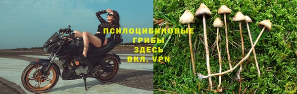 МДПВ Остров
